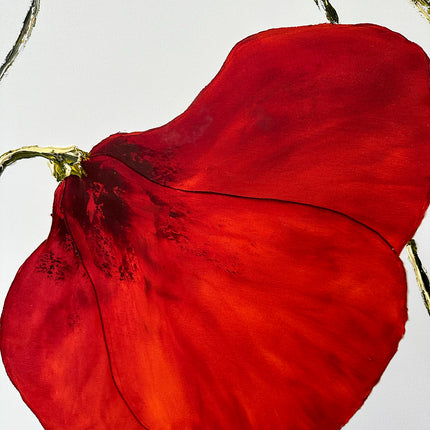 Coquelicot #2