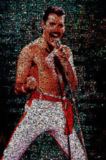 Crypto Freddy Mercury - David Law