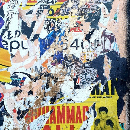 Goldo Fight - Lasveguix