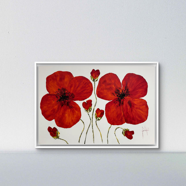 Coquelicot #1