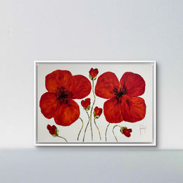 Klatschmohn #1