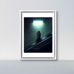 The escalator