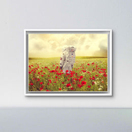 Mohnblumen auf der Erde