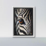 Oculus Zebra