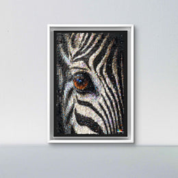 Oculus Zebra