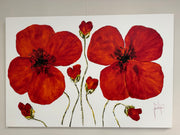 Klatschmohn #1