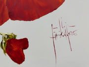 Klatschmohn #1
