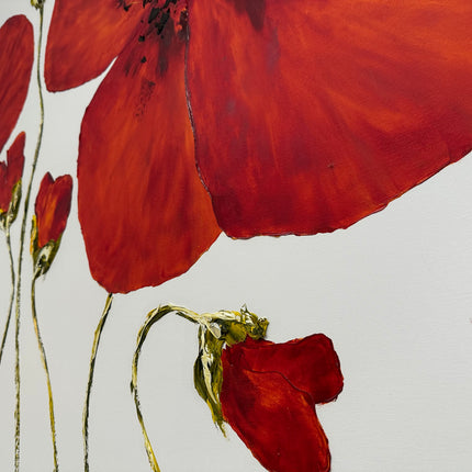 Coquelicot #1