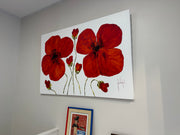 Klatschmohn #1