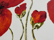 Klatschmohn #1