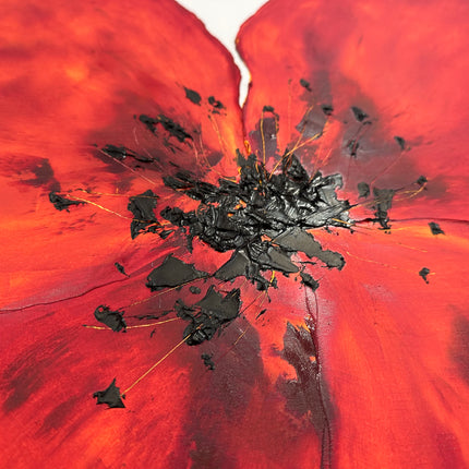 Coquelicot #1