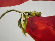 Klatschmohn #1