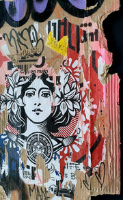 Marianne Obey Urban Wall Fragment #3