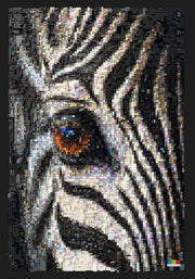 Oculus Zebra