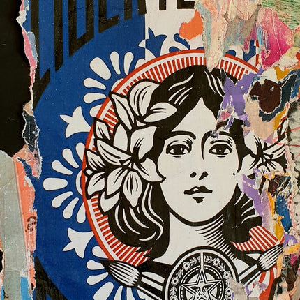 Marianne Obey Urban Wall Fragment #2
