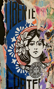 Fragmento de Muro Urbano Marianne Obey #2