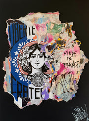 Fragmento de Muro Urbano Marianne Obey #2