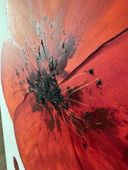 Coquelicot #2