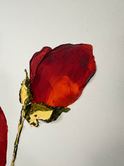 Coquelicot #2