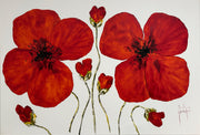 Klatschmohn #1