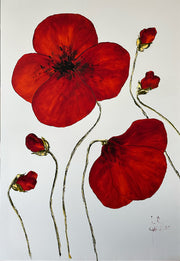 Coquelicot #2