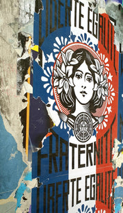 Muro Urbano Marianne Obey