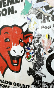 Urban cow - The Laughing Cow