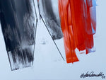 Abstract N°4154 - XL - Parscha Mirghawameddin
