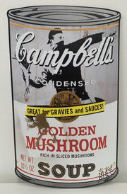 Campbell's Street Fight - Noisy