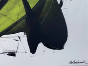 Graff N°2187 - XXL - Parscha Mirghawameddin