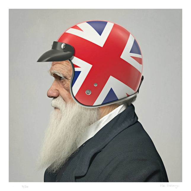 I will Survive (Charles) - Mr Strange