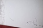 Instant paralysis № I (XL) - Daniel Witschkanow