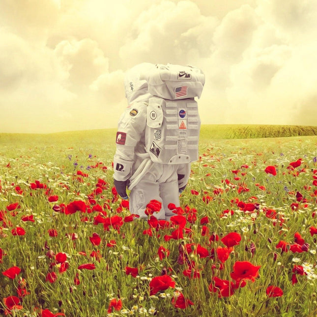 Poppies on Earth - Mr Strange