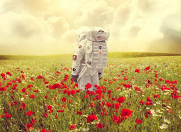 Poppies on Earth - Mr Strange