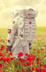 Poppies on Earth - Mr Strange