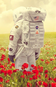 Poppies on Earth - Mr Strange