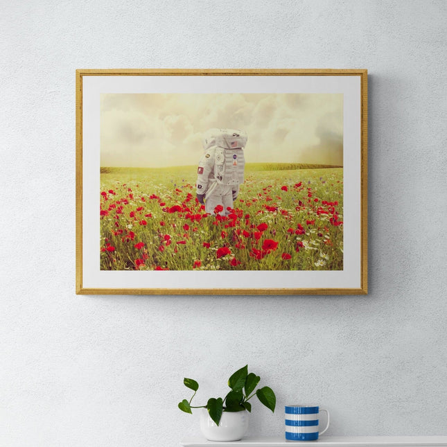 Poppies on Earth - Mr Strange