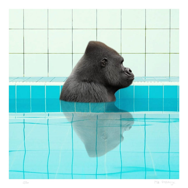 The Bath - Mr Strange