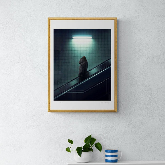 The escalator - Mr Strange