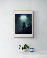 The escalator - Mr Strange