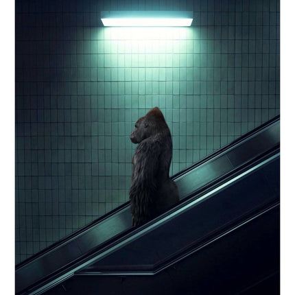 The escalator - Mr Strange