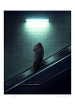 The escalator - Mr Strange